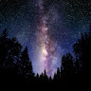 Meet your Posher, Alina